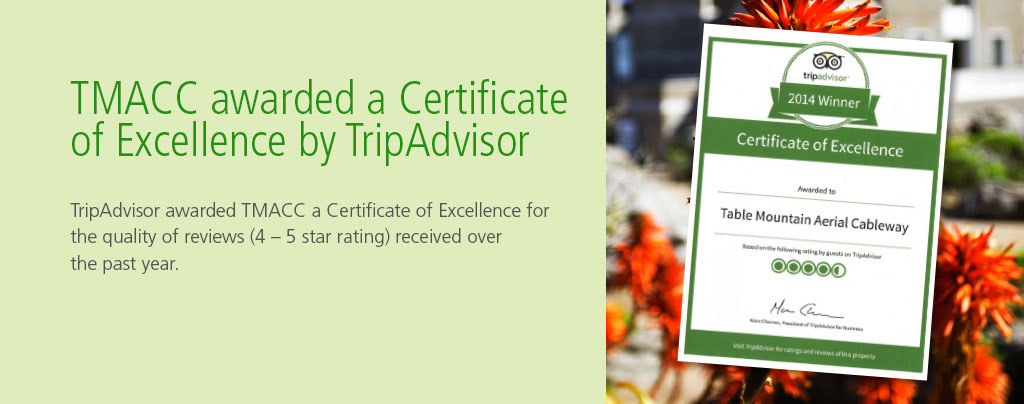 TripAdvisor