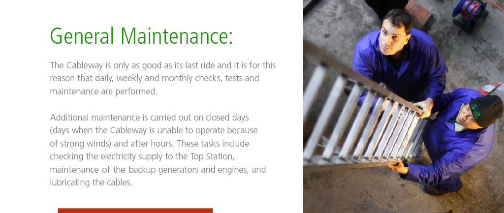 Maintenance