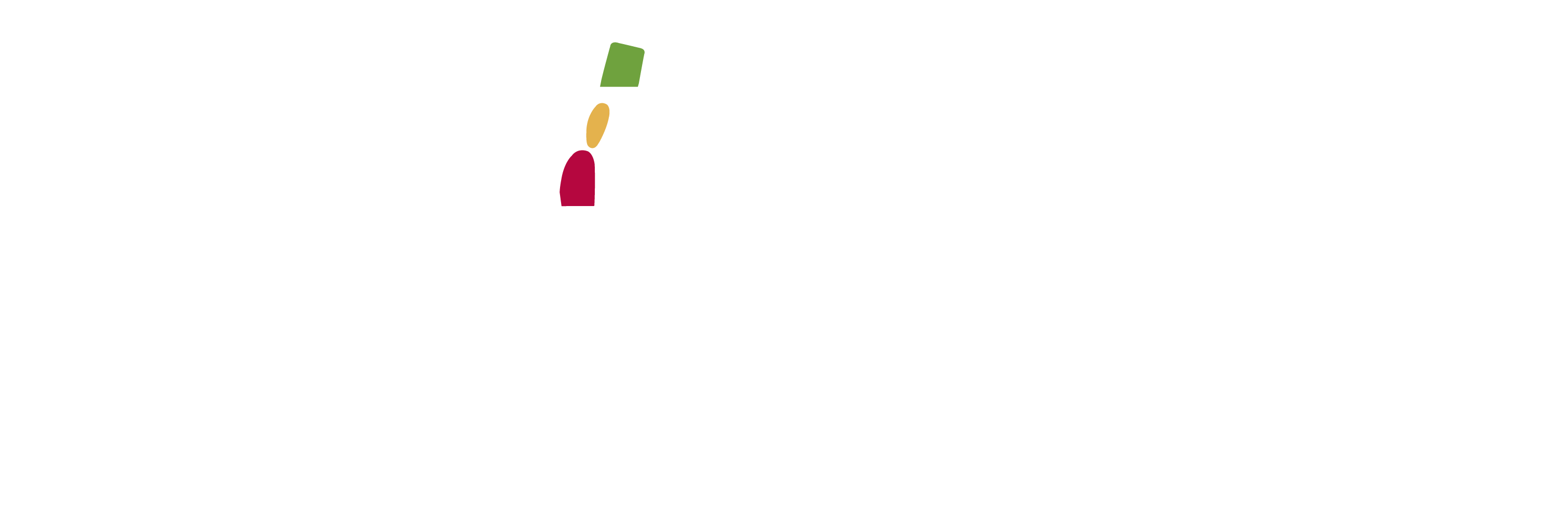 tablemountain logo